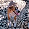 Thumbnail photo of Beasley #4