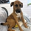 Thumbnail photo of Ted #2