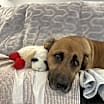 Thumbnail photo of Ted #3