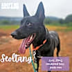 Thumbnail photo of Seoltang #3
