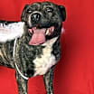 Thumbnail photo of General #4