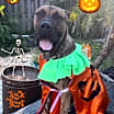 Thumbnail photo of Knox #2