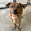 Thumbnail photo of Rocky #2