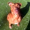 Thumbnail photo of Holly #1