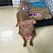 Thumbnail photo of Holly #3