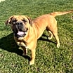 Thumbnail photo of Coco #2