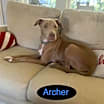 Thumbnail photo of ARCHER #3