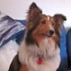 Thumbnail photo of Toby 2024 #1