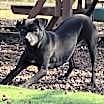 Thumbnail photo of Missy #1