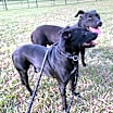 Thumbnail photo of Missy #3