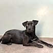 Thumbnail photo of Missy #4