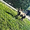 Thumbnail photo of Diamond #3