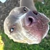 Thumbnail photo of Diamond #4