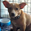 Thumbnail photo of Norma #1
