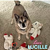 Thumbnail photo of Lucille (Courtesy Post) #3