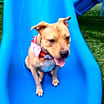 Thumbnail photo of Sabrina #2