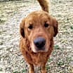 Thumbnail photo of Tucker #4