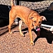 Thumbnail photo of Wiggles 0445 #1