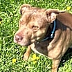 Thumbnail photo of Max #1