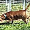 Thumbnail photo of Max #2