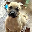 Thumbnail photo of Parker #2