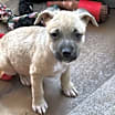 Thumbnail photo of Parker #3