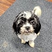 Thumbnail photo of Polly #2