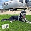 Thumbnail photo of Togo #1