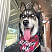 Thumbnail photo of Togo #2