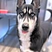 Thumbnail photo of Togo #3