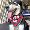 Thumbnail photo of Togo #4