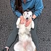 Thumbnail photo of Molly *Foster Needed* #3