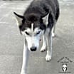 Thumbnail photo of Luna #2