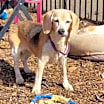 Thumbnail photo of Eloise (ella) #1