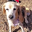 Thumbnail photo of Eloise (ella) #3