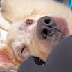 Thumbnail photo of Chance #1
