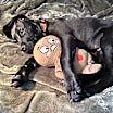 Thumbnail photo of Jenson #3