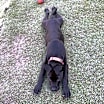 Thumbnail photo of Jenson #4