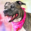 Thumbnail photo of Maisy JH #2