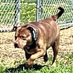 Thumbnail photo of Max #3