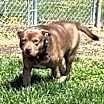 Thumbnail photo of Max #4
