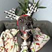 Thumbnail photo of Eliza Everly #1