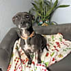 Thumbnail photo of Eliza Everly #2