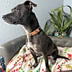 Thumbnail photo of Eliza Everly #3