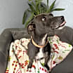 Thumbnail photo of Eliza Everly #4