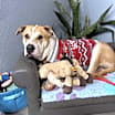 Thumbnail photo of Taz Danforth #1