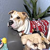 Thumbnail photo of Taz Danforth #2