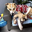 Thumbnail photo of Taz Danforth #3