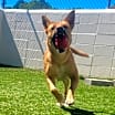 Thumbnail photo of Josephine #2