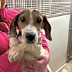 Thumbnail photo of Anna #3